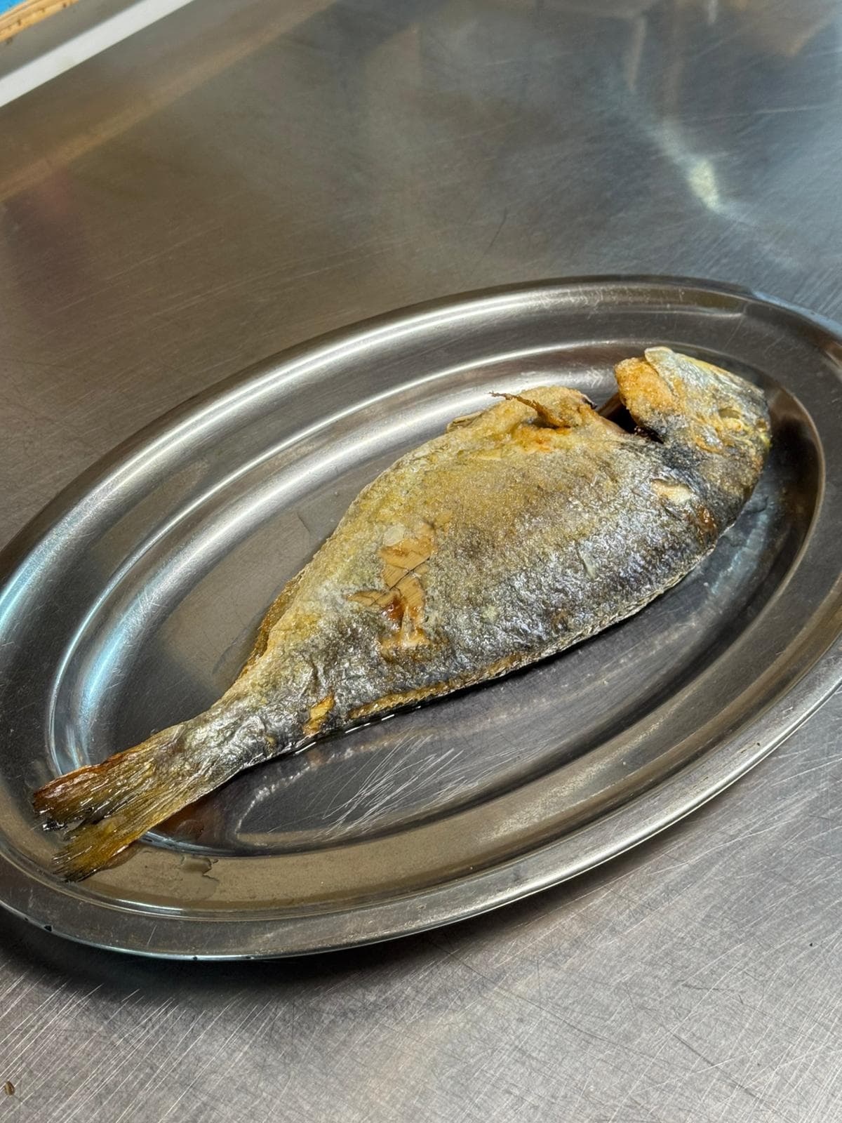 Pescato del giorno